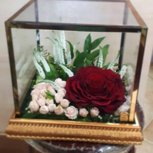 خدمات شماره3